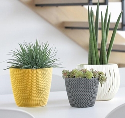 Кашпо для цветов и система автополива