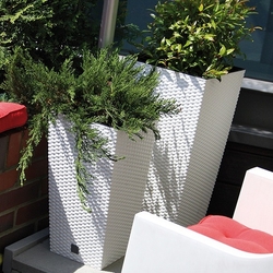 Кашпо для цветов